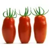Sementes de Tomate Mini San Marzano