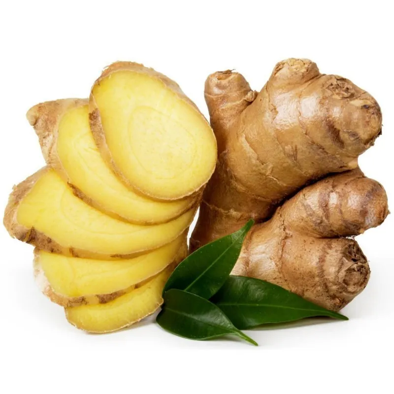 Ginger Tubers - Rhizomes (Zingiber officinale)