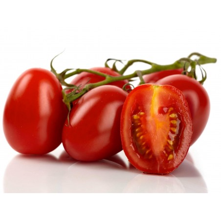 Price: €1.95 - Semillas de Tomato Cherry Plum "UNO" -