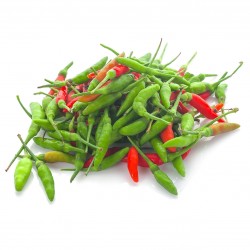 Price: €2.15 - Σπόροι Τσίλι πιπέρι Bird's Eye (piri-piri, jindungo) - Seeds Gallery