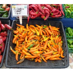 Bulgarian Carrot Chili Samen 1.8 - 5