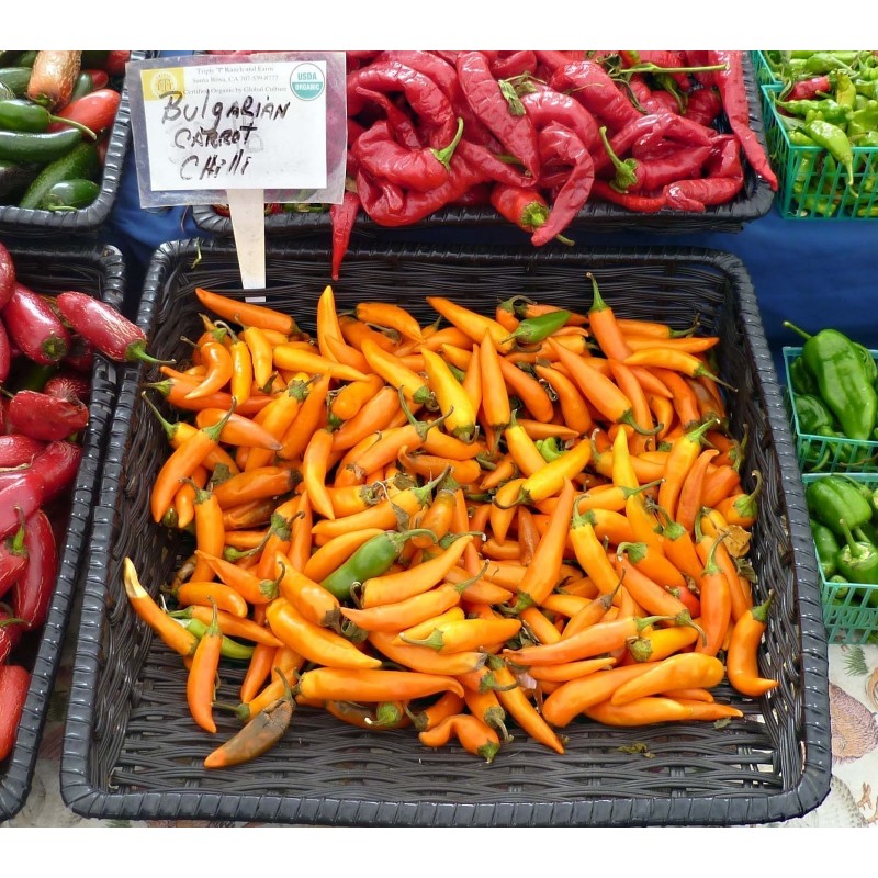 Price: €1.8 - BULGARIAN CARROT Σπόροι Τσίλι - πιπέρι - 