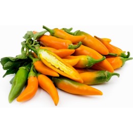 Bulgarian Carrot Chili Pepper Seeds - 1.62
