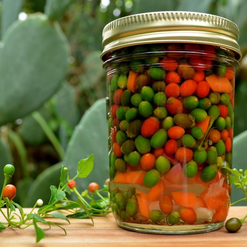 Price: €1.5 - Tepin - Chiltepin Chili Samen - Seeds Gallery