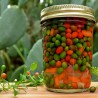 Price: €1.5 - Sementes de Pimenta Chiltepin ou Tepin - Seeds Gallery