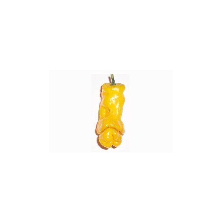 Penis Chili Seeds - 351.868725