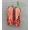 Σπόροι Τσίλι - πιπέρι Penis Chili (Peter Pepper)