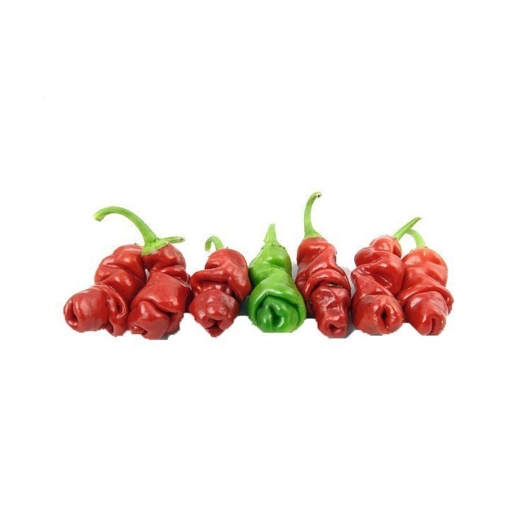 Penis Chili Seeds - 351.868725