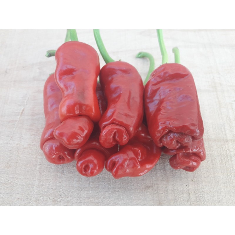 Price: €40 - Τσίλι - πιπέρι Penis Chili 100 Σπόροι - 