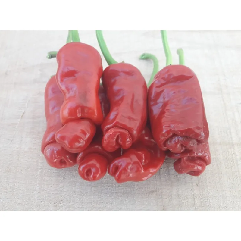 Τσίλι - πιπέρι Penis Chili 100 Σπόροι