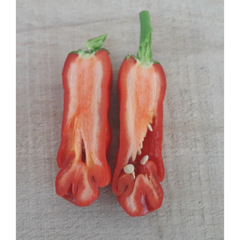 Price: €40 - Piment Penis 100 Graines - Penis Chili - 