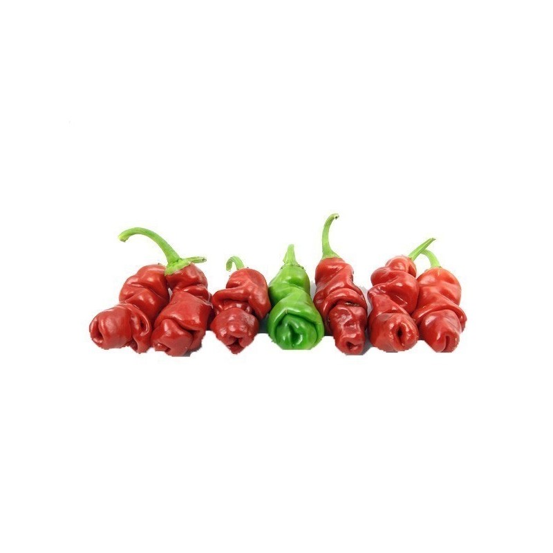 Price: €40 - Τσίλι - πιπέρι Penis Chili 100 Σπόροι - 