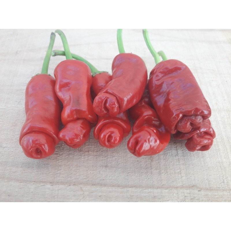 Price: €40 - Τσίλι - πιπέρι Penis Chili 100 Σπόροι - 
