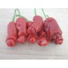 Price: €40 - Peperoncino Penis Chili 100 Sementi - 