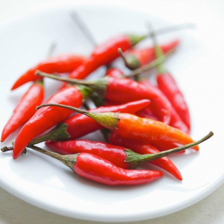 Price: €2 - Thai Hot Culinary Chili Seeds - Seeds Gallery