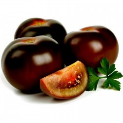 Price: €1.95 - Kumato Crni Paradajz Semena - Seeds Gallery