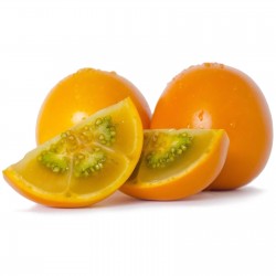 Sementes de Lulo - Naranjilla - Naranjilha (Solanum Quitoense) 2.45 - 5