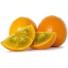 Naranjilla Lulo Seme (Solanum quitoense)