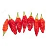 Sementes De Pimenta Tabasco