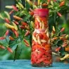 Chili Tabasco Seeds