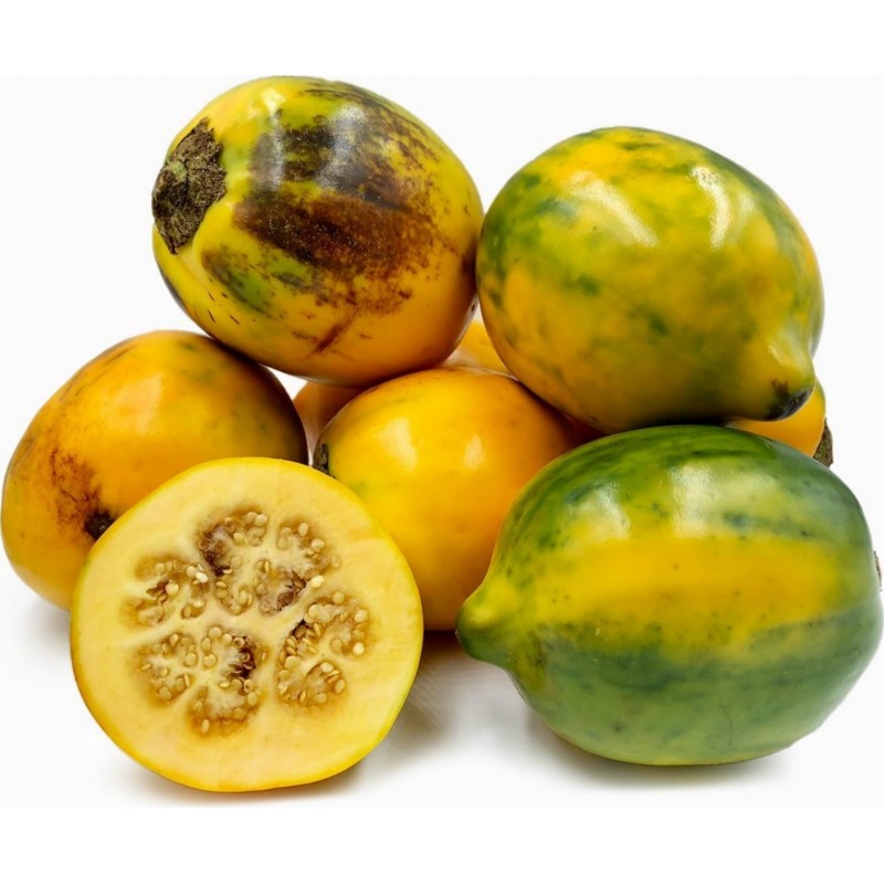 Price: €2.25 - Semi di melanzane pelose - Tarambulo (Solanum ferox) - Unbranded