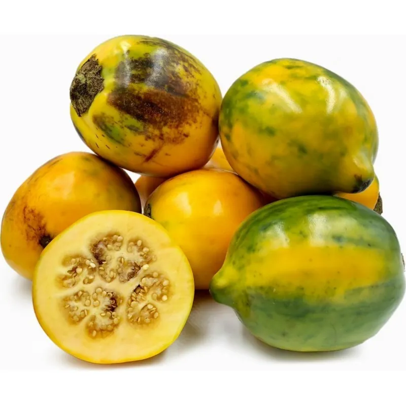 Tarambulo - Aubergine de Siam Samen (Solanum ferox)