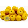 Semillas de Nanche, Nance o Changunga (Byrsonima crassifolia) | 7,75 €