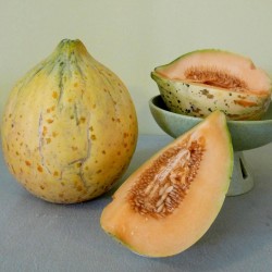 Eel River melon frön 2.049999 - 5