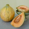 Sementes de Melão Eel River | 2,05 €