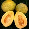 Eel River melon frön