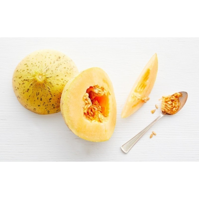 Eel River melon frön