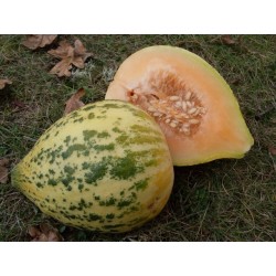 Semillas de melón Eel River 2.049999 - 4