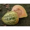 Eel River melon frön