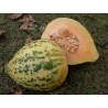 Sementes de Melão Eel River | 2,05 €