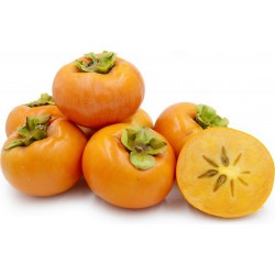 Price: €3.5 - Σπόροι λωτός American (Diospyros virginiana) - 
