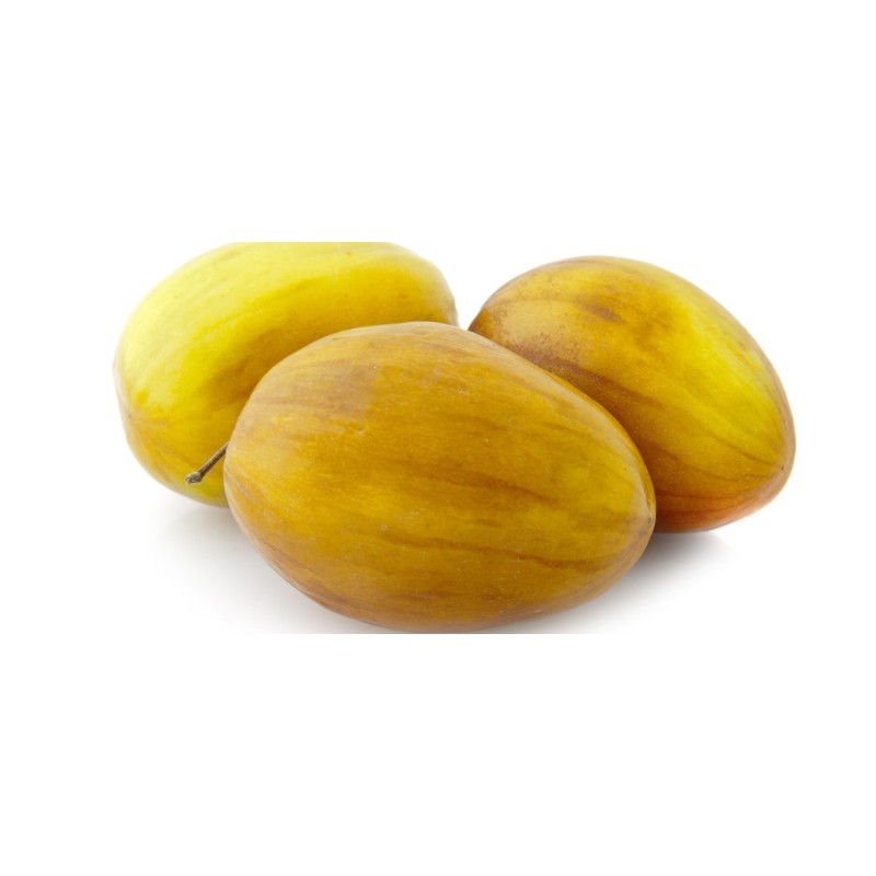 Semillas de Jujube Indio (Ziziphus mauritiana)