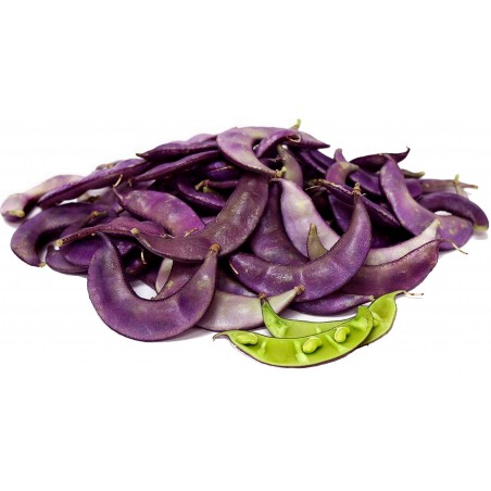 Sementes Feijão pedra ou orelhas de padre (Lablab purpureus) | 2,05 €
