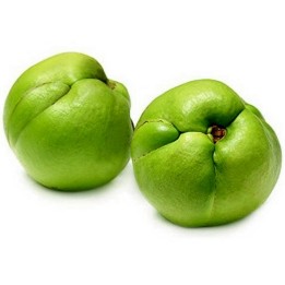 Elephant Apple Seeds (Dillenia indica) - 2.925