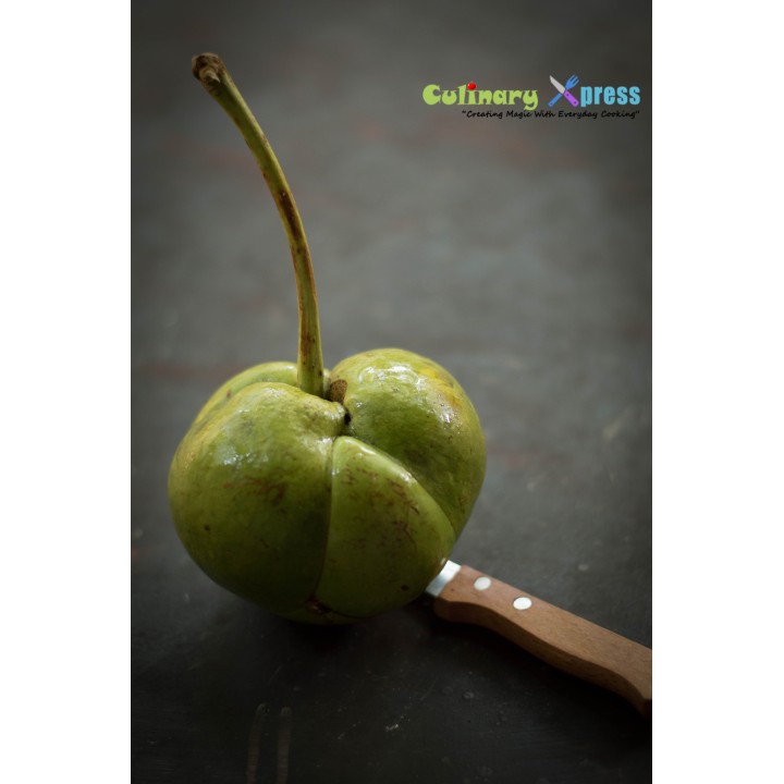 Elephant Apple Seeds (Dillenia indica) - 2.925