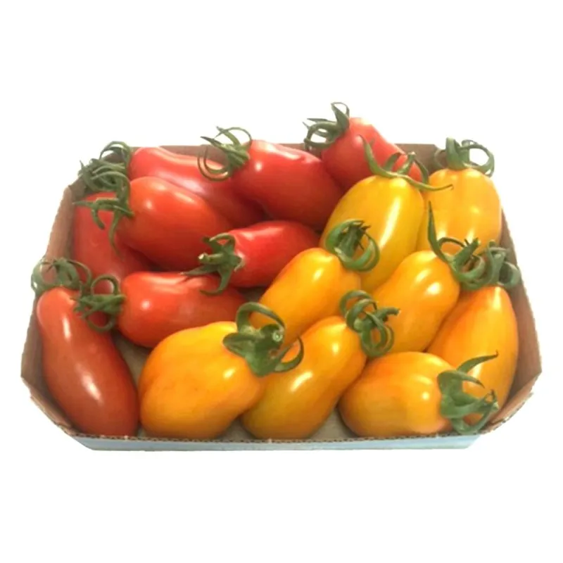 Mini San Marzano Yellow and Red Tomato Seeds