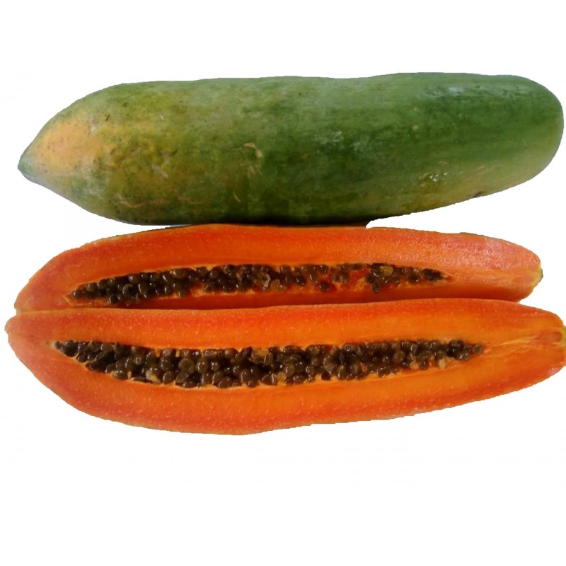 Price: €2.75 - Semi di Lunga papaia Nano "KAK DUM" (Carica papaya) - 