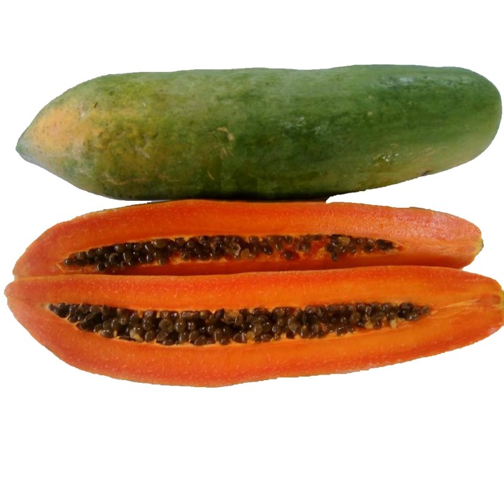 Dwarf Long Papaya Seeds KAK DUM Variety - 2.475