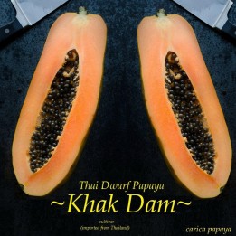 Dwarf Long Papaya Seeds KAK DUM Variety - 2.475
