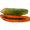 Price: €2.75 - Semi di Lunga papaia Nano "KAK DUM" (Carica papaya) - 