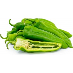 Graines de Piment ANAHEIM (Capsicum Annuum) 1.75 - 5