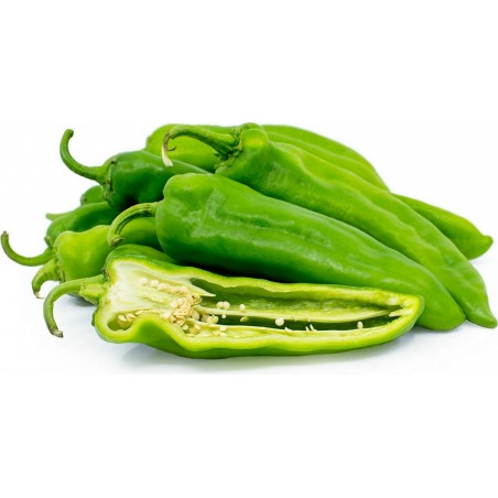 Price: €1.55 - Anahajm Chili Ljuta Papricica Seme (Capsicum Annuum) - Seeds Gallery