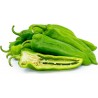 Price: €1.55 - Semi di Peperoncino ANAHEIM (Capsicum Annuum) - Seeds Gallery