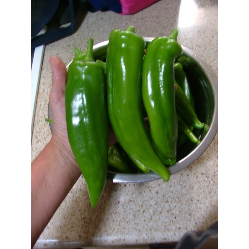 Price: €1.55 - Semi di Peperoncino ANAHEIM (Capsicum Annuum) - Seeds Gallery