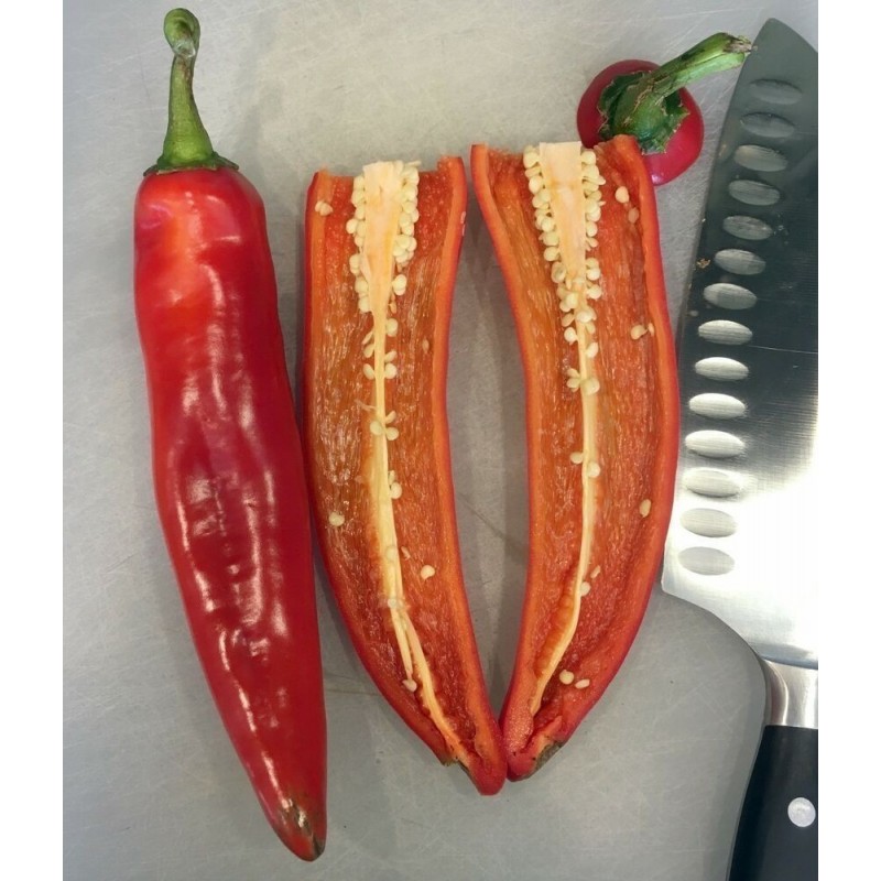 Price: €1.55 - Semi di Peperoncino ANAHEIM (Capsicum Annuum) - Seeds Gallery