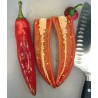 Price: €1.55 - Semi di Peperoncino ANAHEIM (Capsicum Annuum) - Seeds Gallery